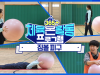 [365+체육온활동] 중급 35. 짐볼 피구